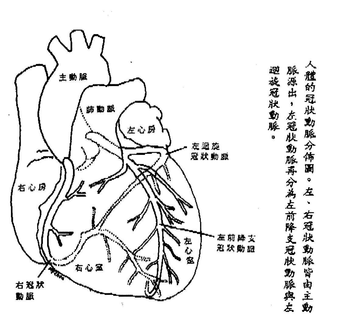 首页 相关文章  文卅心脏血管内科主任卅王致皓医师    门诊时间:周三